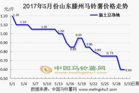 新土豆進(jìn)軍市場 行情不及預(yù)期 ()