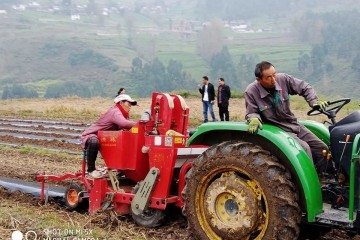 甘洛：開(kāi)展機(jī)器播種冬季薯 ()