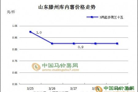 薯市成交清淡 行情持續(xù)偏弱 ()