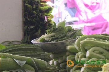 陽江市：降雨致菜價(jià)上漲 ()