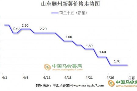 新薯價(jià)格高開低走 庫薯交易漸近尾聲 ()