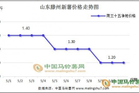 山東新薯貨多價跌 貴州新薯行情向好 ()