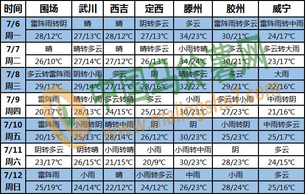 土豆天氣