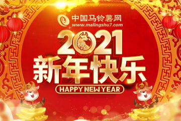 祝各位2021牛年大吉！新春吉祥！ ()