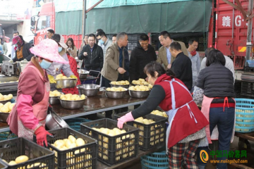 平潭：沙地馬鈴薯測產驗收 ()