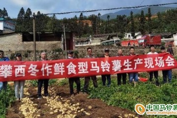 西昌學院馬鈴薯生產(chǎn)技術(shù)項目驗收通過 ()