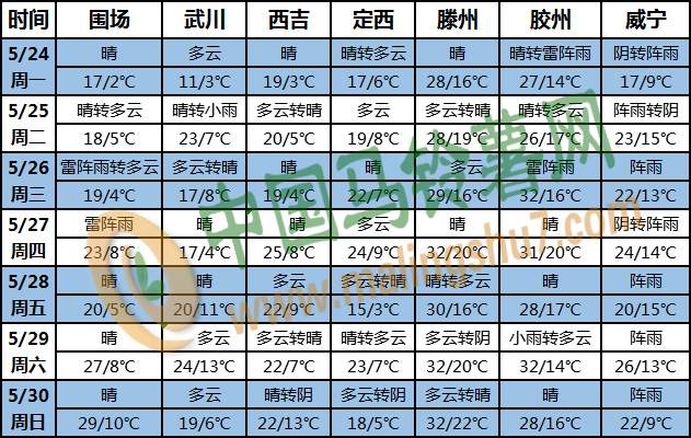 土豆天氣