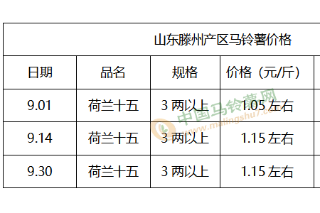 市場需求或增 薯價(jià)看漲？ ()