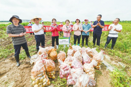 2022年5月馬鈴薯出口數(shù)據(jù)分析 ()