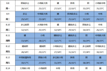 華北降雨頻繁 新薯上貨謹(jǐn)慎 ()