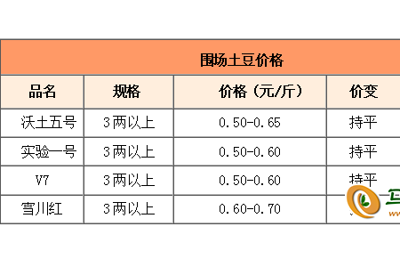 薯市行情迎來轉(zhuǎn)機？ ()