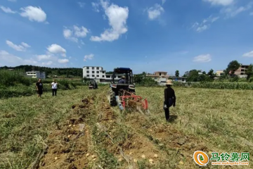 黔西市：小農(nóng)機(jī)助推馬鈴薯豐收